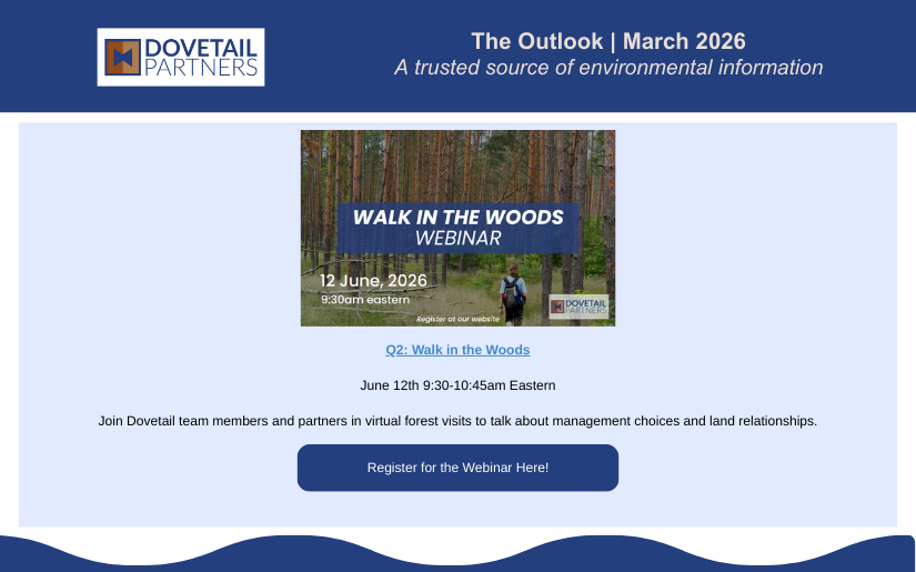 The Outlook | March 2026